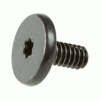 Screw, Torx T5, Flash Storage Mac mini Late 2014 923-00224 Screw, Torx T5, Flash Storage Mac mini Late 2014 923-00224